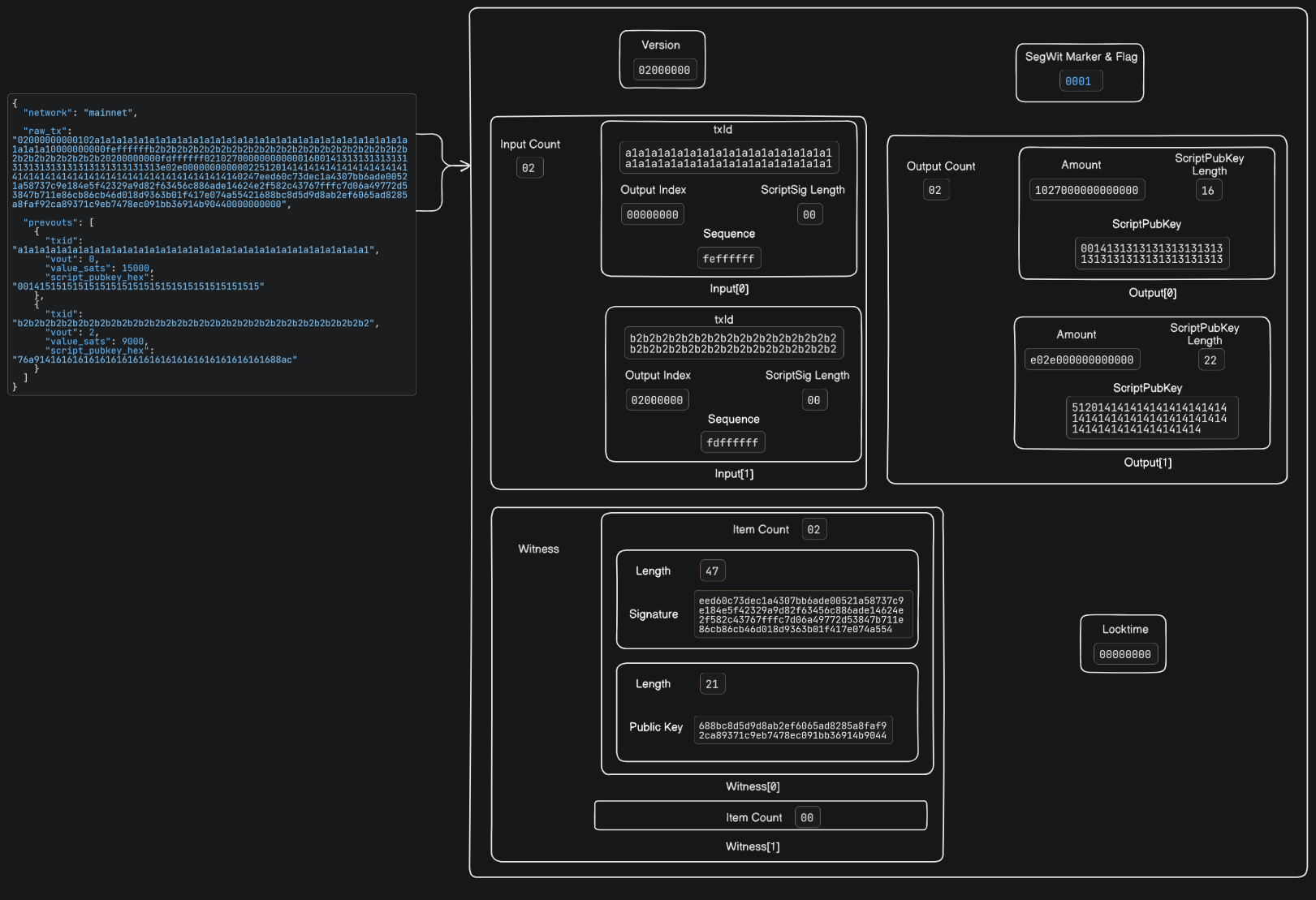 Raw SegWit Transaction Breakdown Visual breakdown of a raw SegWit transaction highlighting the segregated witness data structure